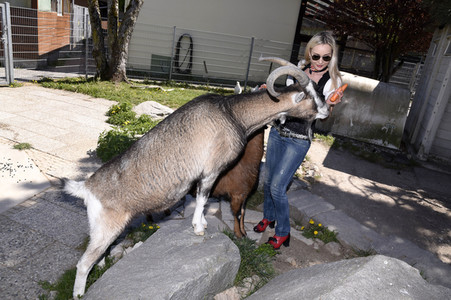 Fototermin mit Isabella Hübner im Tierheim München