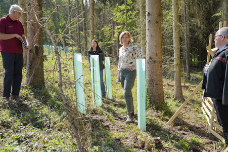 Julia Klöckner besichtigt Wald-Wiederaufforstungsfläche in Rehberg