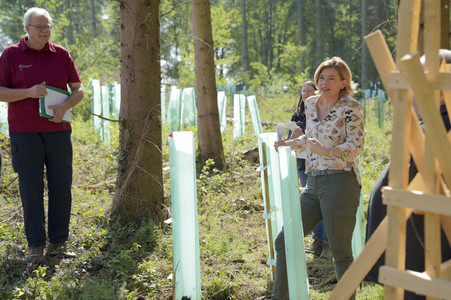 Julia Klöckner besichtigt Wald-Wiederaufforstungsfläche in Rehberg