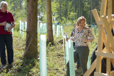 Julia Klöckner besichtigt Wald-Wiederaufforstungsfläche in Rehberg