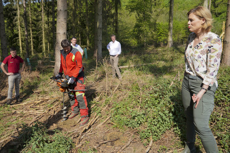 Julia Klöckner besichtigt Wald-Wiederaufforstungsfläche in Rehberg