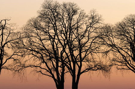 Symbolfoto Abendstimmung