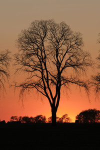 Symbolfoto Abendstimmung