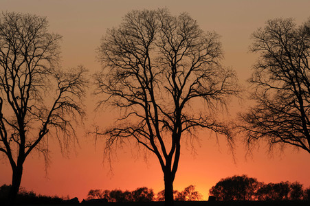 Symbolfoto Abendstimmung