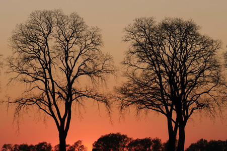 Symbolfoto Abendstimmung