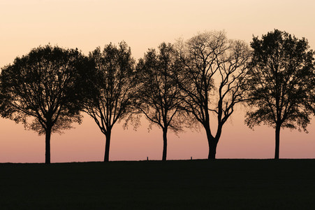 Symbolfoto Abendstimmung