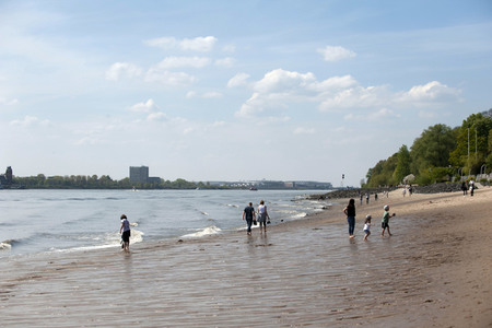 Niedrigwasser der Elbe in Hamburg