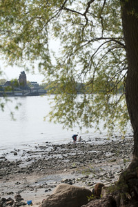 Niedrigwasser der Elbe in Hamburg