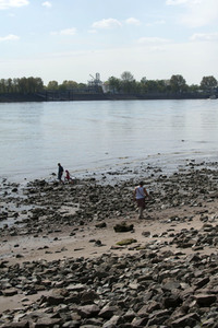 Niedrigwasser der Elbe in Hamburg