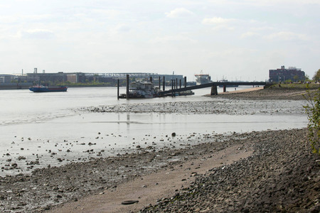 Niedrigwasser der Elbe in Hamburg