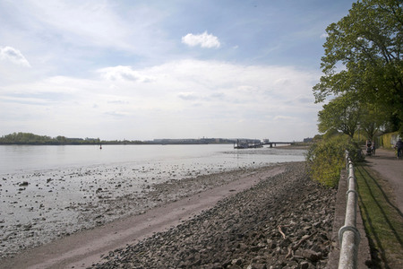 Niedrigwasser der Elbe in Hamburg