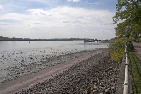 Niedrigwasser der Elbe in Hamburg