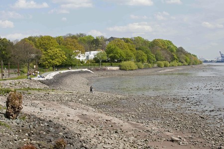 Niedrigwasser der Elbe in Hamburg