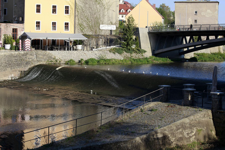 Niedrigwasser der Neisse bei Görlitz