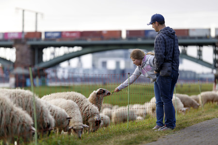 Symbolfoto Herdenimmunität
