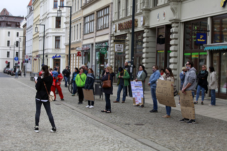 Demonstration zur Erhaltung der Grundrechte in Görlitz