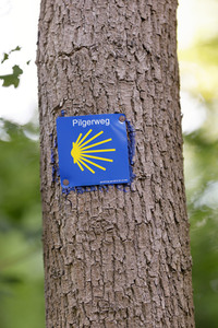 Symbolfoto Pilgerweg