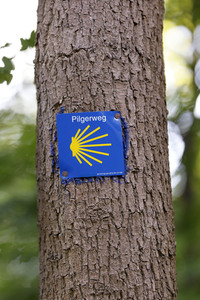 Symbolfoto Pilgerweg