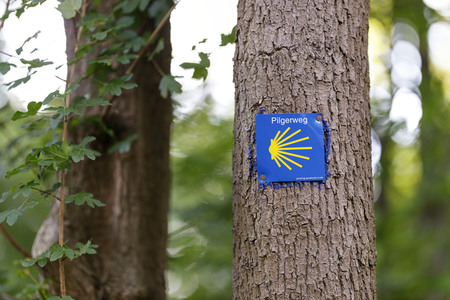 Symbolfoto Pilgerweg