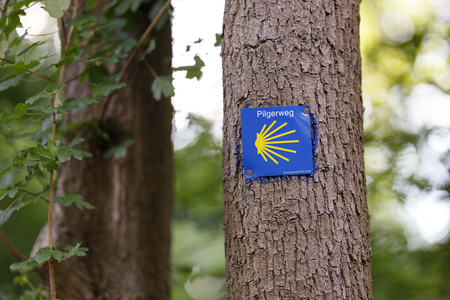 Symbolfoto Pilgerweg