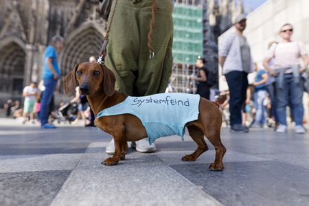 Demo gegen Corona-Maßnahmen in Köln
