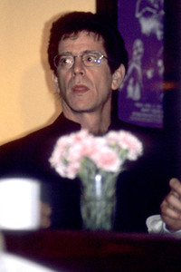 Pressekonferenz der Greenpeace Rainforest Foundation in London