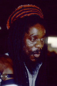 Reggae Sunsplash 1984 in London