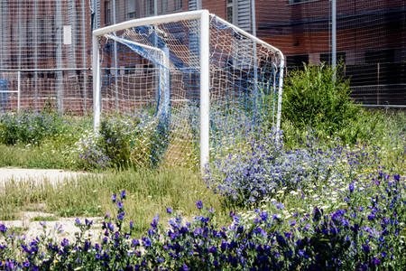 Madrid während der Coronakrise