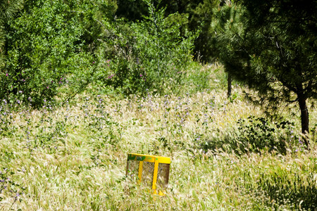 Madrid während der Coronakrise