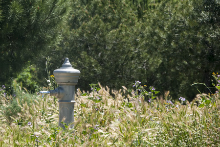 Madrid während der Coronakrise
