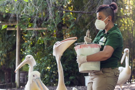 Madrid während der Coronakrise