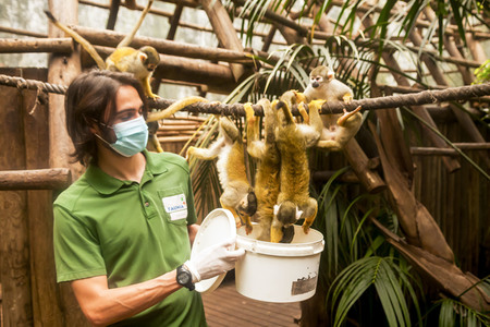 Madrid während der Coronakrise