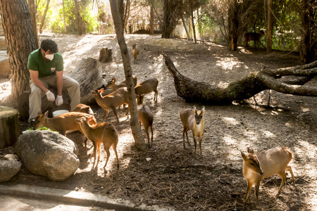 Madrid während der Coronakrise