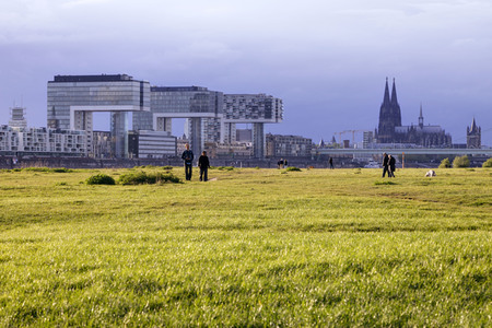Symbolfoto Poller Wiesen
