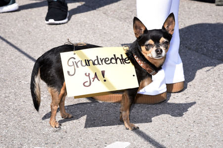 Corona-Demo in München