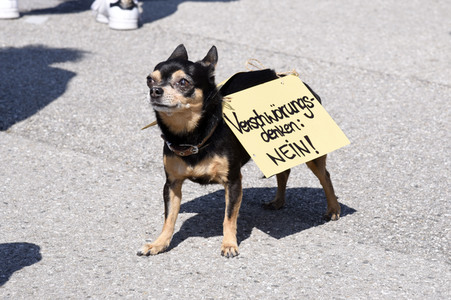 Corona-Demo in München