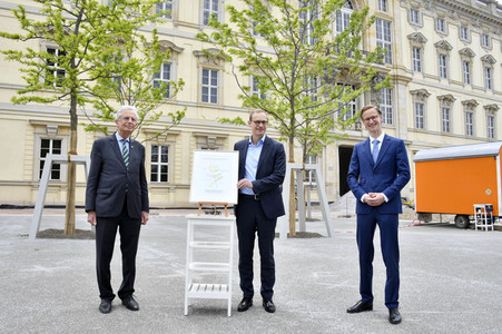 Baumspende für das Umfeld des Humboldt Forums in Berlin