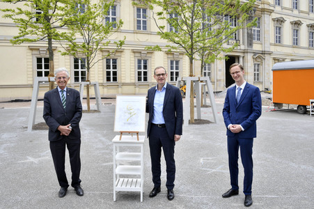 Baumspende für das Umfeld des Humboldt Forums in Berlin