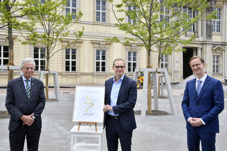 Baumspende für das Umfeld des Humboldt Forums in Berlin