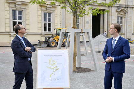 Baumspende für das Umfeld des Humboldt Forums in Berlin