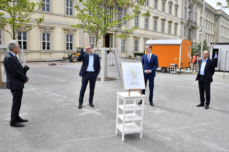 Baumspende für das Umfeld des Humboldt Forums in Berlin