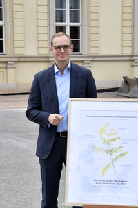 Baumspende für das Umfeld des Humboldt Forums in Berlin