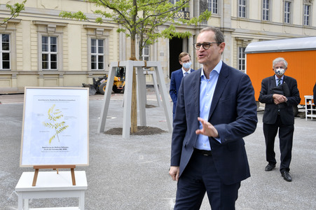 Baumspende für das Umfeld des Humboldt Forums in Berlin