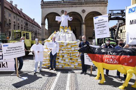 Protest der Milchbauern in München