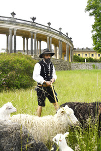Ankunft der Schafe für die Beweidung von Wiesenflächen im Park Sanssouci in Potsdam