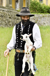 Ankunft der Schafe für die Beweidung von Wiesenflächen im Park Sanssouci in Potsdam