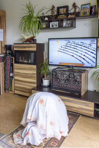 Symbolfoto Digital gemeinsam beten