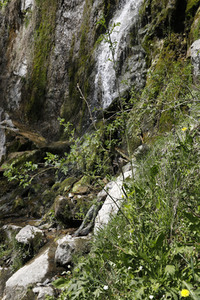 NATURE ART: Wasserfall / Waterfall Bodypainting