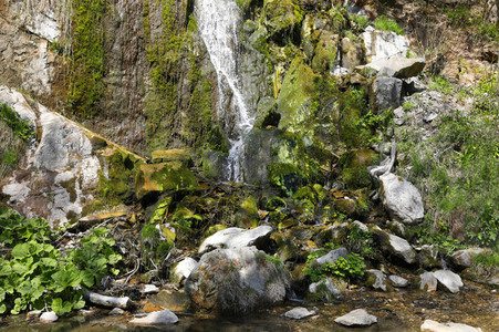 NATURE ART: Wasserfall / Waterfall Bodypainting