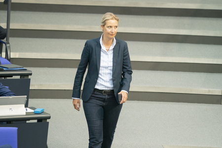 163. Sitzung des Deutschen Bundestages in Berlin